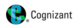 Cognizant BPM Cognizant BPM