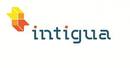 Intigua Intigua Software Tool