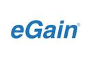 eGain KnowledgeAgent™ eGain KnowledgeAgent™ Software Tool