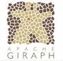 Apache Giraph Apache Giraph Software Tool