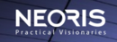 Neoris SAP Implementation Services Neoris SAP Implementation Services Software Tool