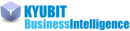 Kyubit Business Intelligence Kyubit Business Intelligence