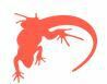 Lounge Lizard Worldwide Lounge Lizard Worldwide