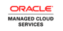 Oracle HIPAA Security Solution Oracle HIPAA Security Solution Software Tool
