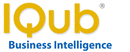 IQub Business Intelligence Reporting Solutions IQub Business Intelligence Reporting Solutions Software Tool