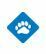 SmartBear Testing SmartBear Testing Software Tool