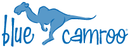 BlueCamroo BlueCamroo Software Tool