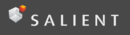 Salient Salient Software Tool