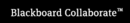 Blackboard Collaborate Blackboard Collaborate