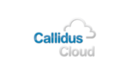 CallidusCloud Commissions CallidusCloud Commissions