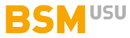 USU Service Intelligence USU Service Intelligence Software Tool