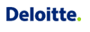Deloitte SAP Services Deloitte SAP Services Software Tool