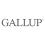 Gallup Access Software Tool