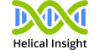 Helical Insight Helical Insight Software Tool
